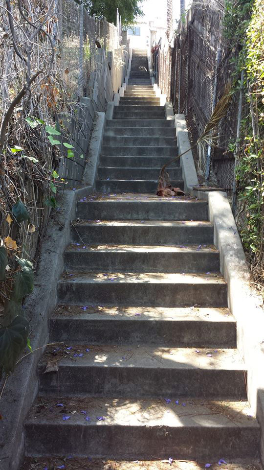 Silver Lake Stair Climb