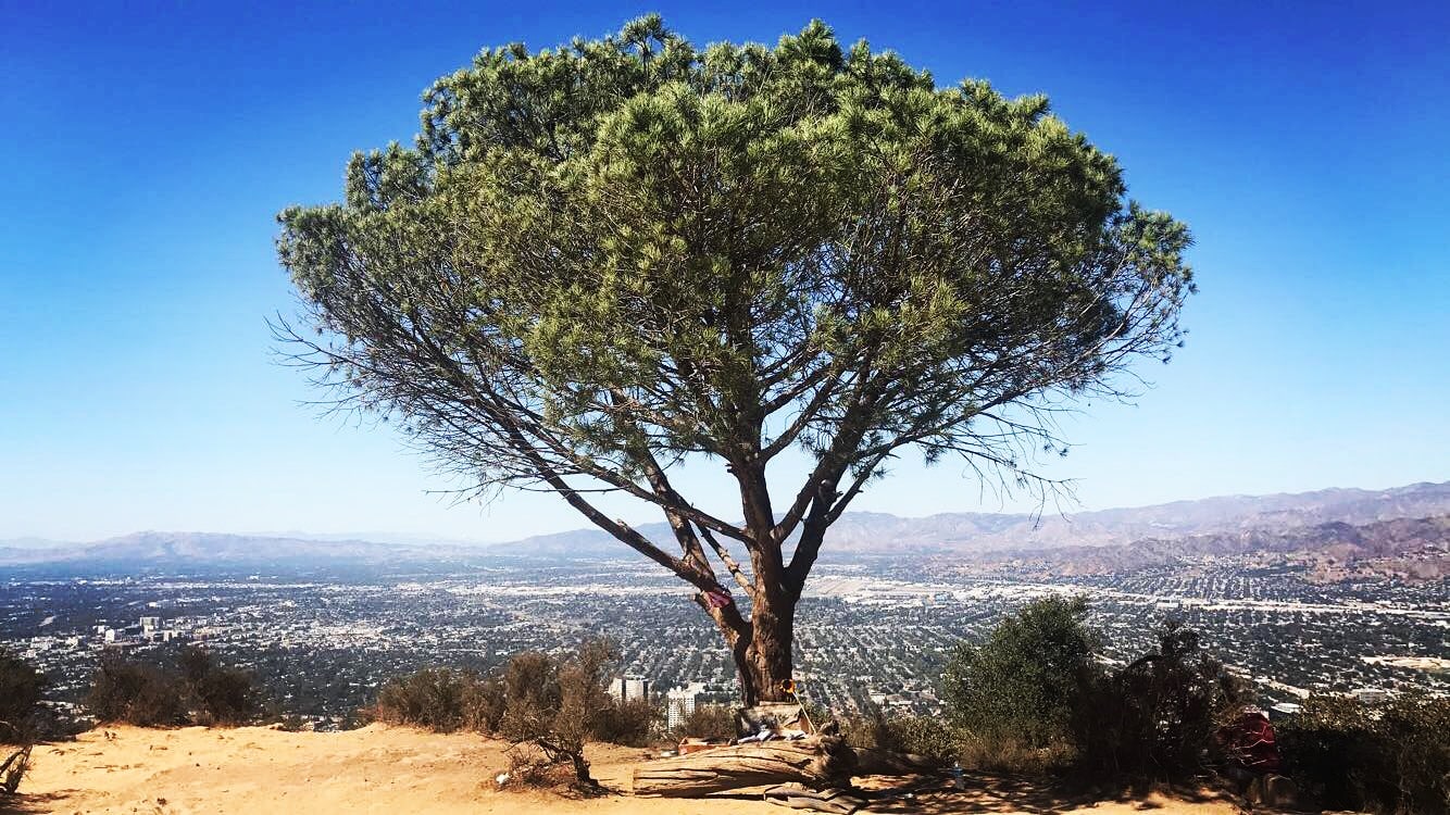 amazing hikes in los angeles