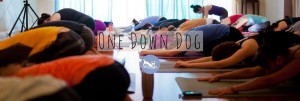 One Down Dog Yoga