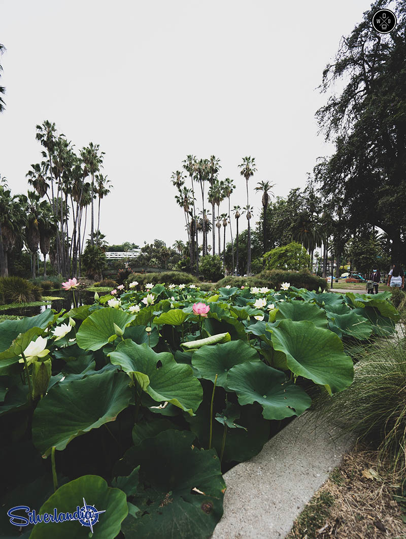 A Night on the Town in Echo Park