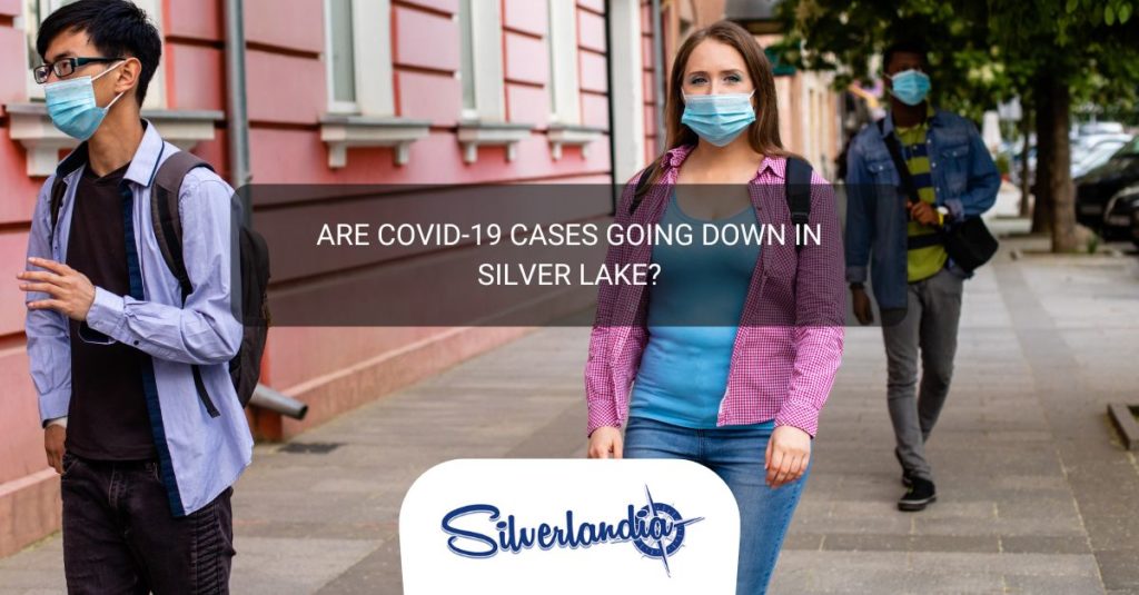 Silver Lake COVID19 Cases in Silver Lake