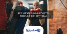 Echo Park boxing