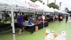 silverlake farmers market